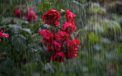 Accoucher rime-t-il avec Douleur ?
